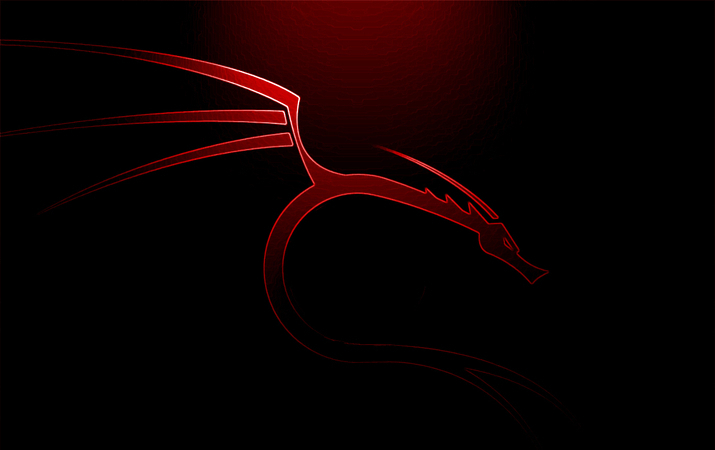 kali linux nxfilter