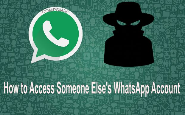 give somone else my whatsapp login info