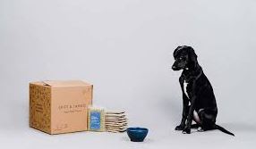 Best Dog Food Delivery Services 