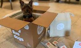 Best Dog Food Delivery Services 