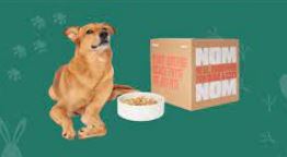 Best Dog Food Delivery Services 