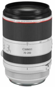 Best Telephoto Lenses 