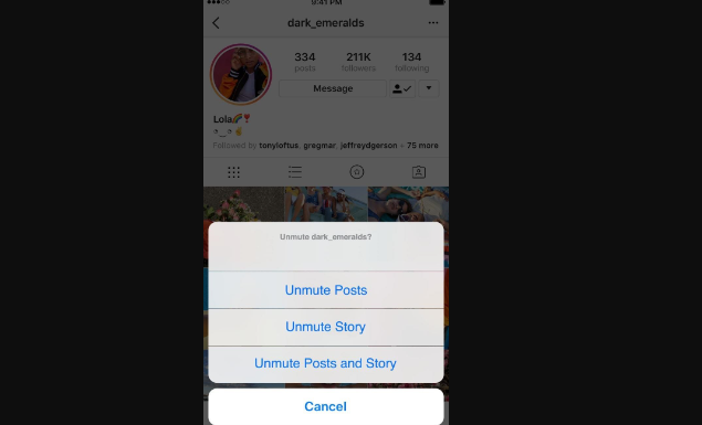 How To Mute or Unmute Anyone On Instagram