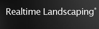 Best Landscape Design Software
