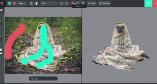 Best Free Background Remover Tools