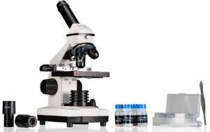 Best Microscopes 