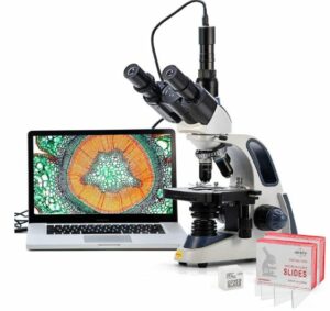 Best Microscopes 