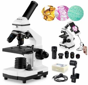 Best Microscopes 