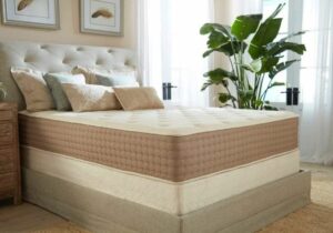 Best Organic Mattress 