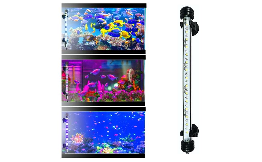 Best Aquarium Lights