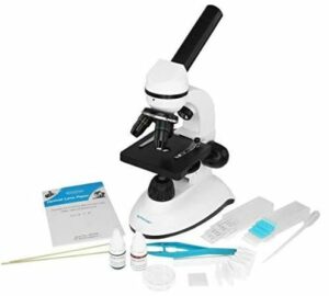 Best Microscopes 