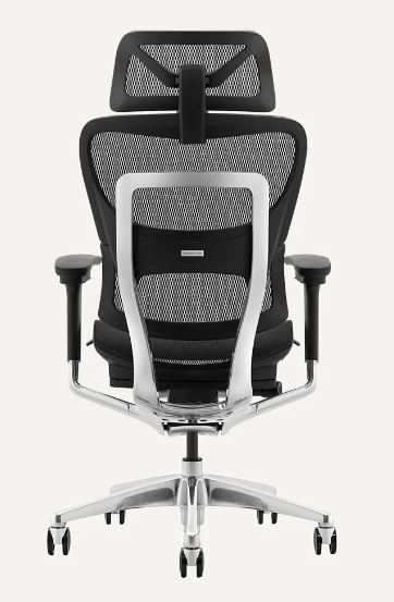 Odinlake Ergo Plus 743 review 