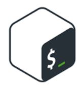 Bash vs ZSH