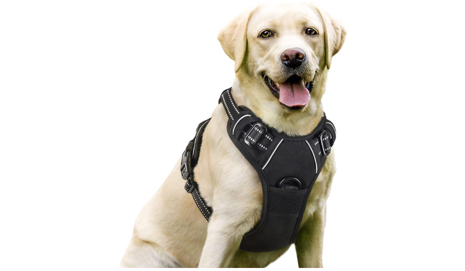 Best Dog Harnesses