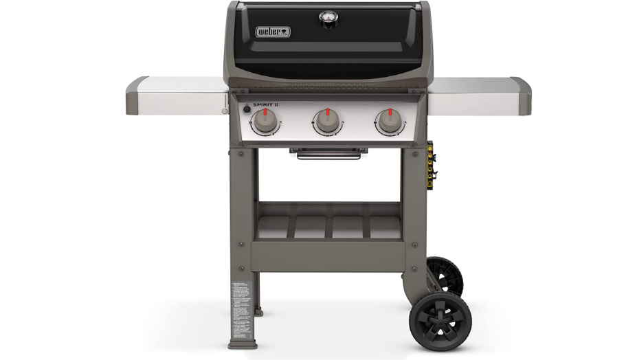 Best Gas Grills