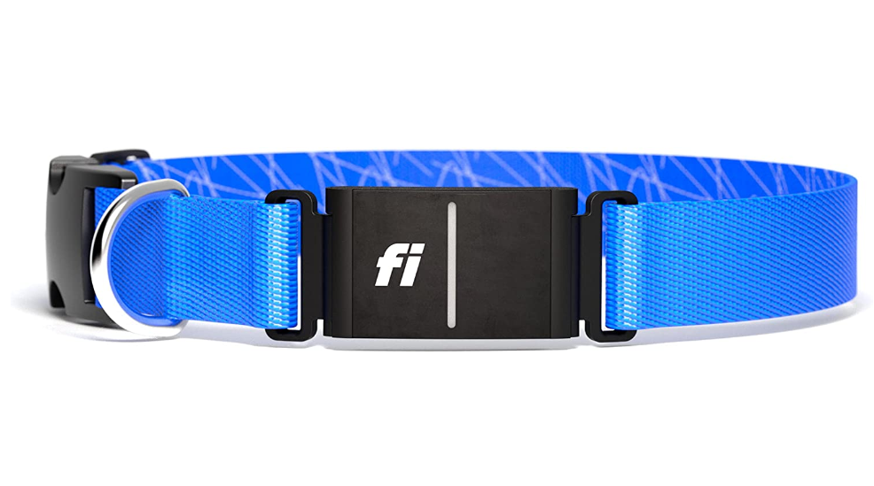 Best GPS Dog Collars