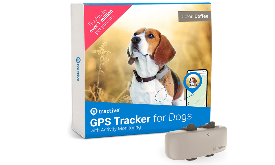 Best GPS Dog Collars