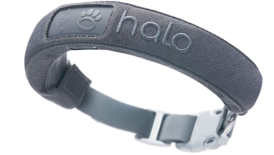 Best GPS Dog Collars