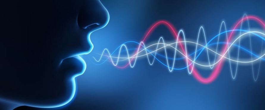 Best VoiceBox MD Alternatives