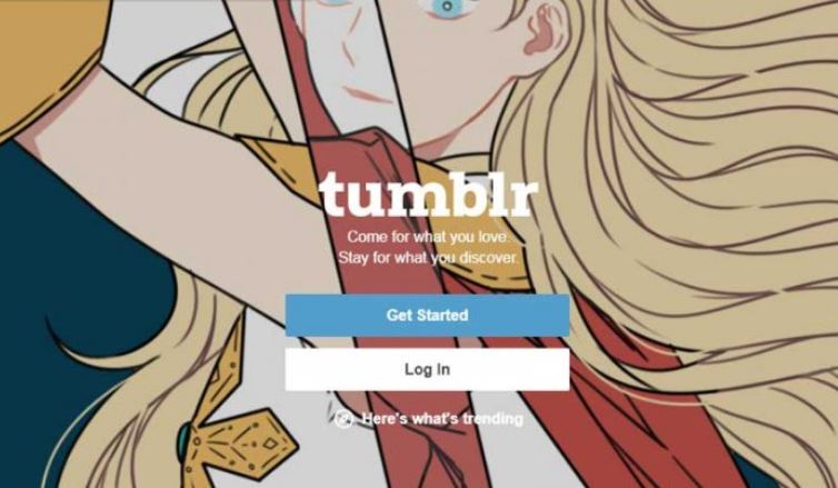 Best Tumblr Savior Alternatives