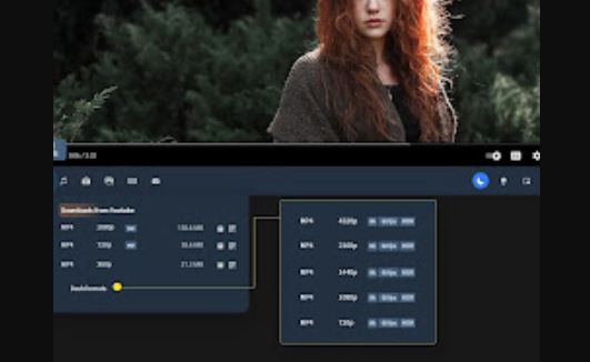 Best Ant Video Downloader Alternatives