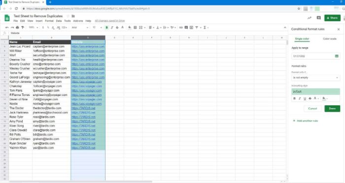 How to Find Duplicate in Google Sheets