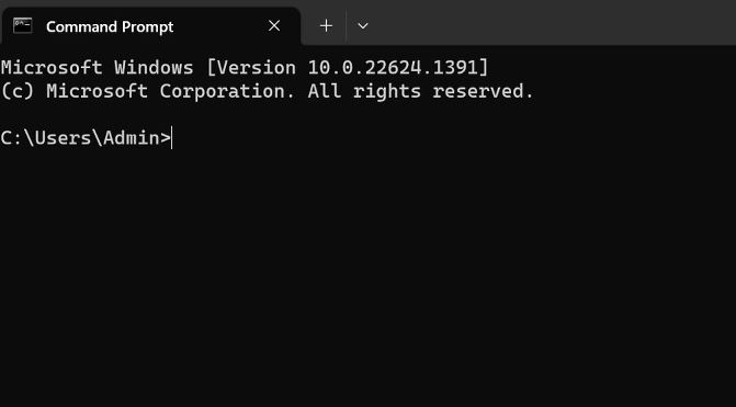 'DesktopWindowXamlSource Empty Window' issue (Fixed)