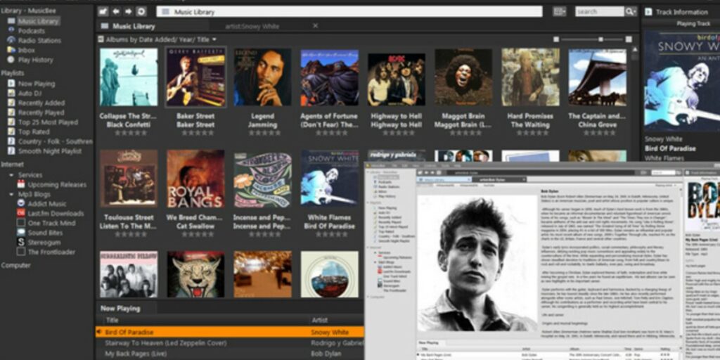 Best MediaMonkey Alternatives