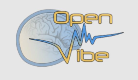 Best Turbo-BrainVoyager Alternatives