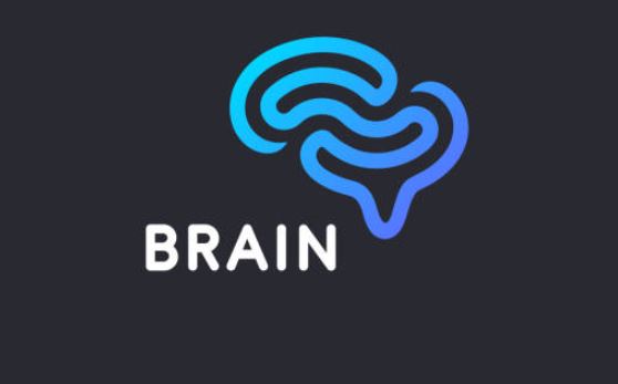 Best Turbo-BrainVoyager Alternatives