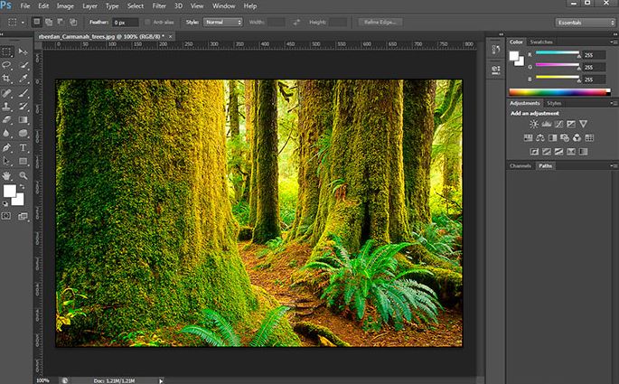 Photoshop vs Canva 