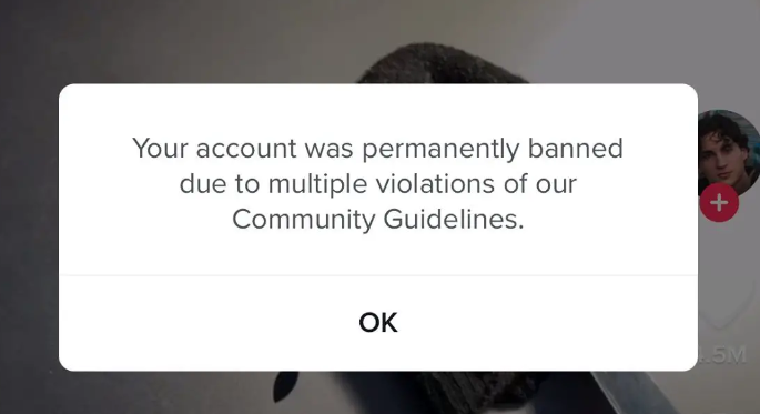 How To Get Your TikTok Account Unbanned