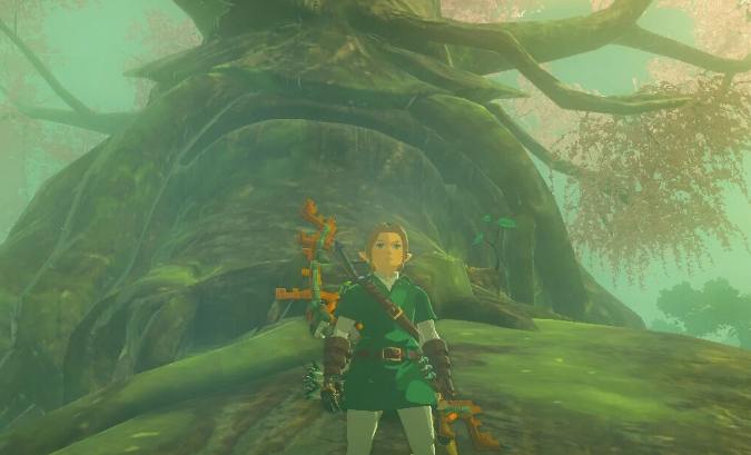 How to Enter the Lost Woods and Find Korok Forest in Zelda