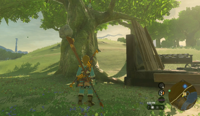 How to complete the Feathered Fugitives side quest in Zelda