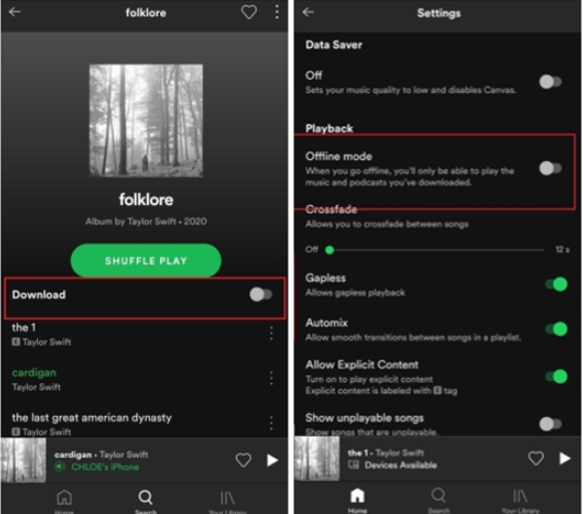 How to Download Spotify Songs on any device