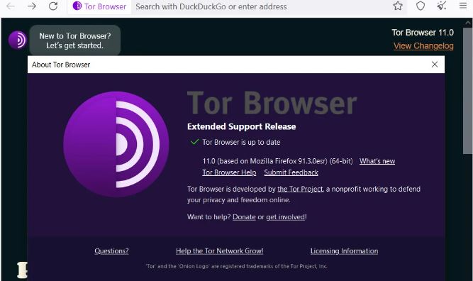 Zeronet vs Tor 
