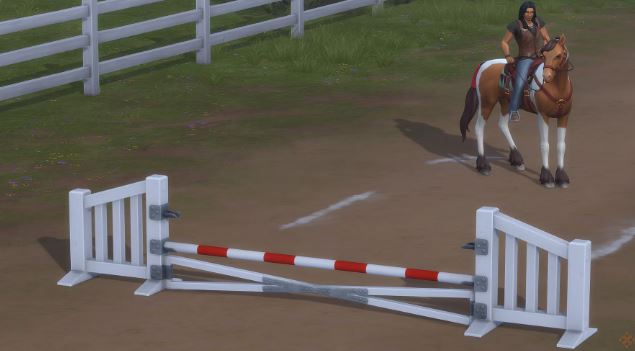 The Sims 4 Horse Ranch: How To Train Horses