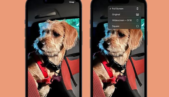 (iOS 17) How to Use Quick Crop on iPhone Photos App