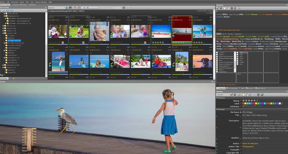 Best Digital Asset Management Software for Photographers