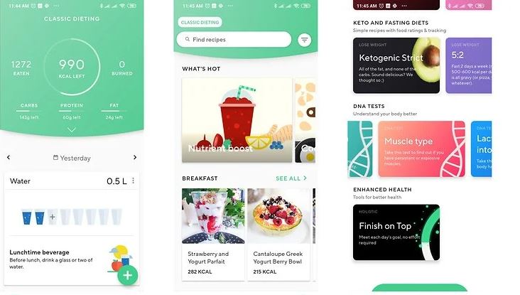 LifeSum review