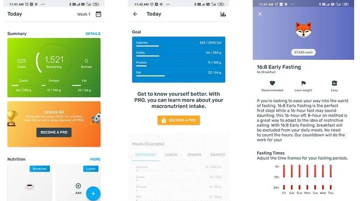 LifeSum review