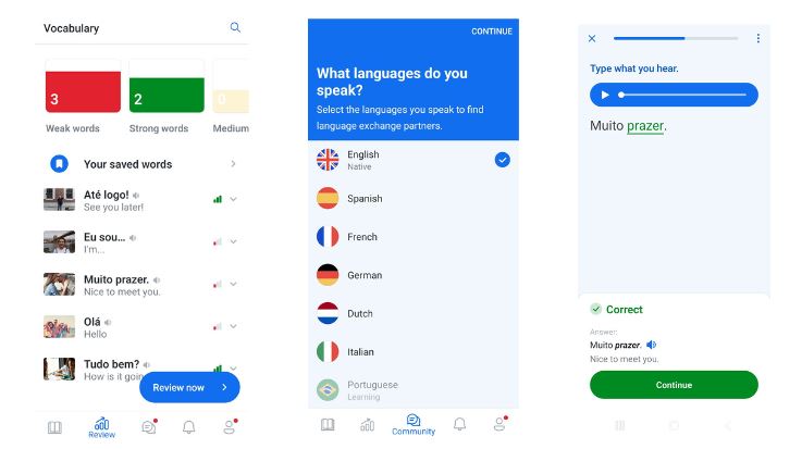 Busuu vs Rosetta Stone 