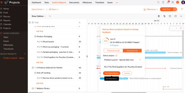 Zoho Projects review