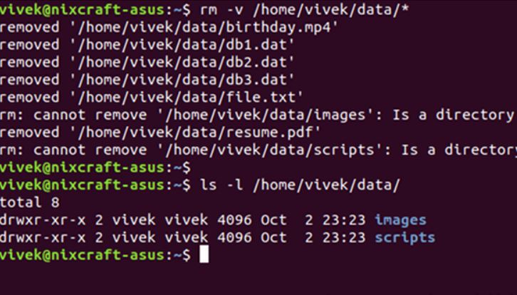 How to Delete Linux Files and Directories