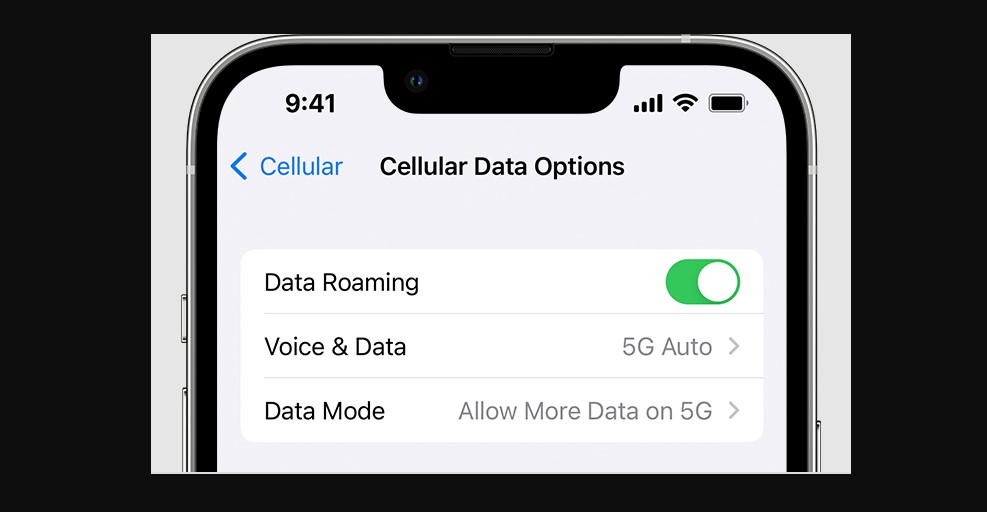 Fix: 'Cellular Data Not Working' issue on iPhone and iPad