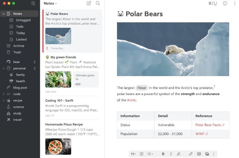 Bear review