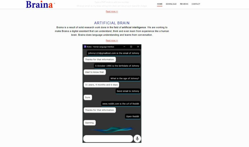 Braina review