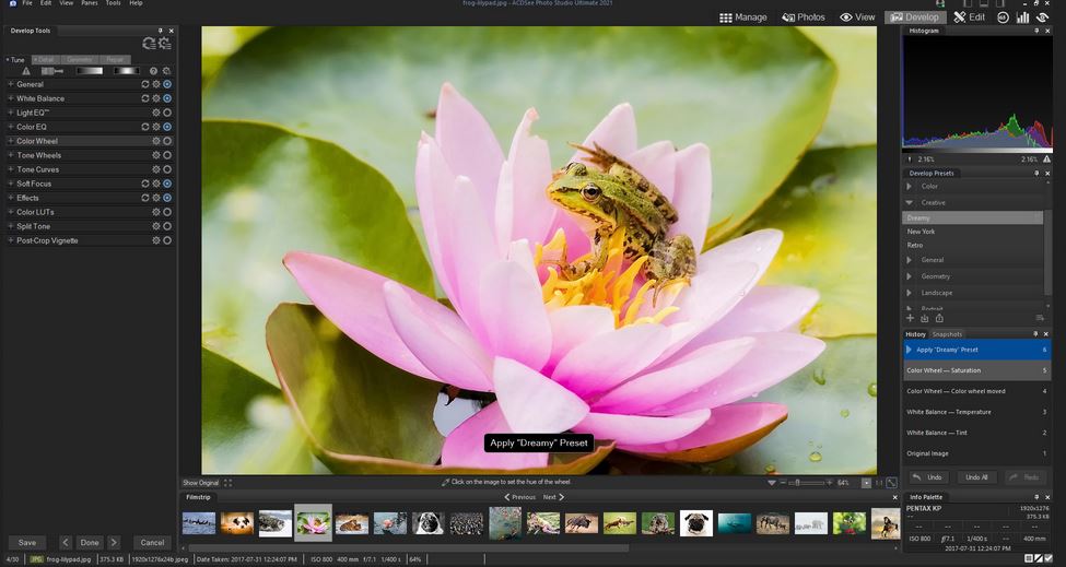 Best Luminar Neo Alternatives