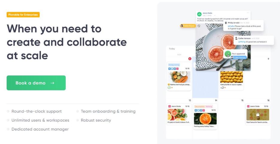 Planable review