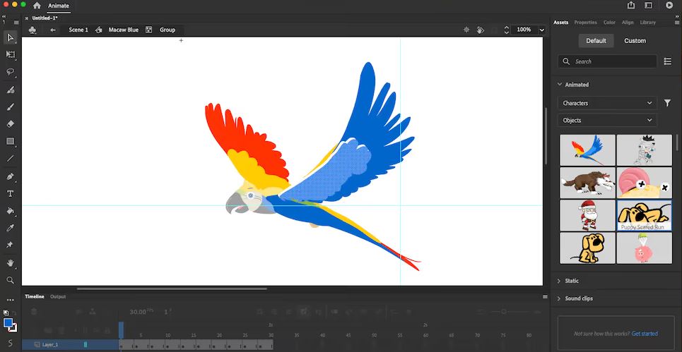 Adobe Animate review